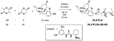 Evaluating the rate of reversal of fentanyl-induced respiratory depression using a novel long-acting naloxone nanoparticle, cNLX-NP